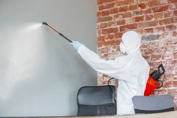 Best Mold Removal for HVAC Installations  in Springtown, TX